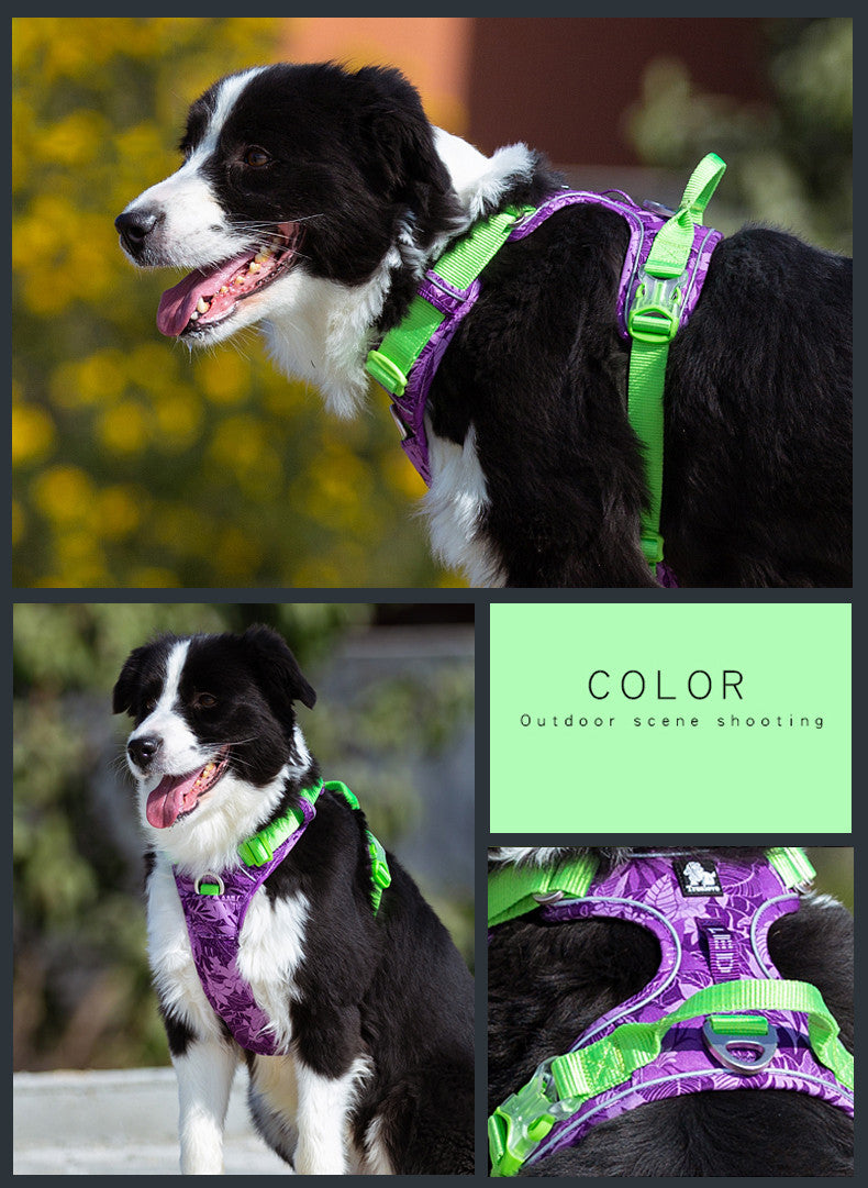 Durable Dog Leash and Harness Set