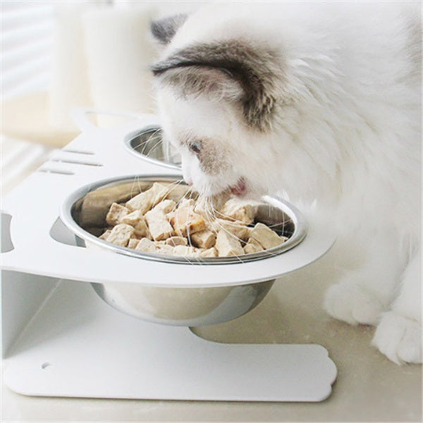 Anti-Spill Pet Feeding Bowl