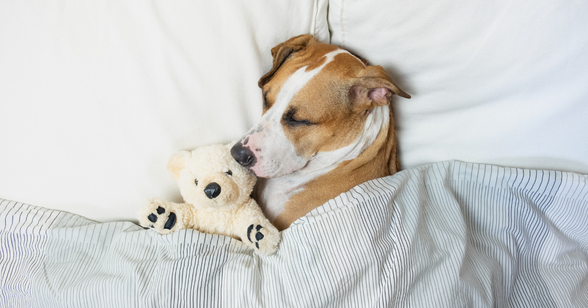 slider image 1621243260e1af0c20-0