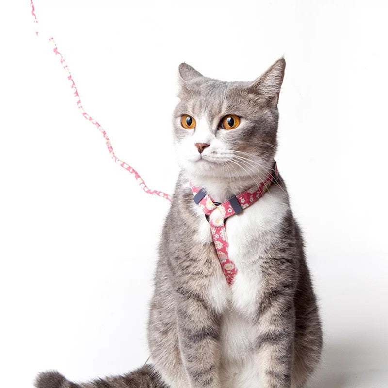 Anti-Slip Cat Harness and Leash
