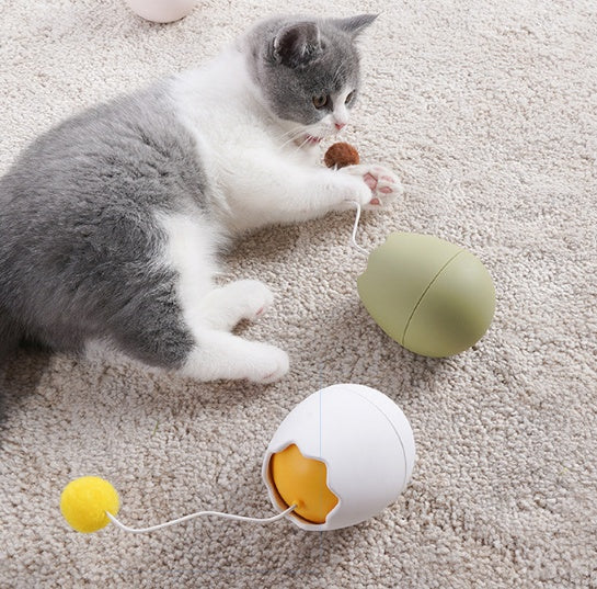 Funny Interactive Cat Toy