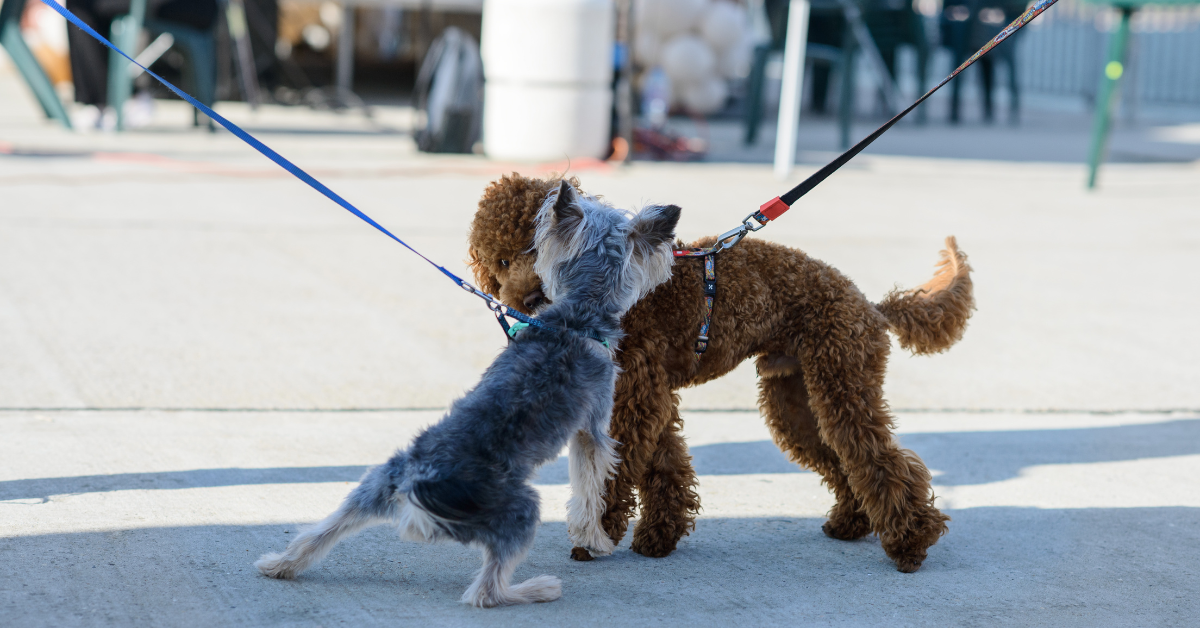 slider image 1621243260e1af0c20-1