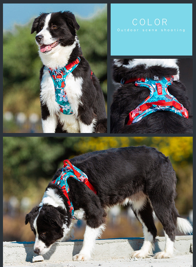 Durable Dog Leash and Harness Set