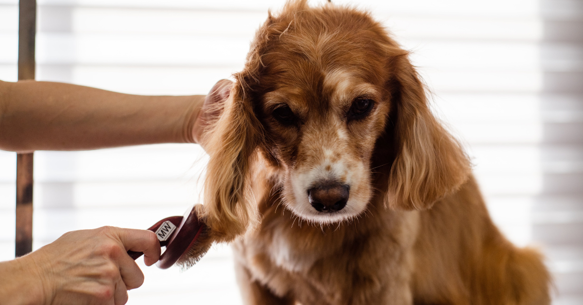 slider image 1621243260e1af0c20-2