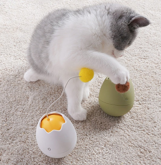 Funny Interactive Cat Toy