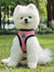 Adjustable Pet Car Seat Belt