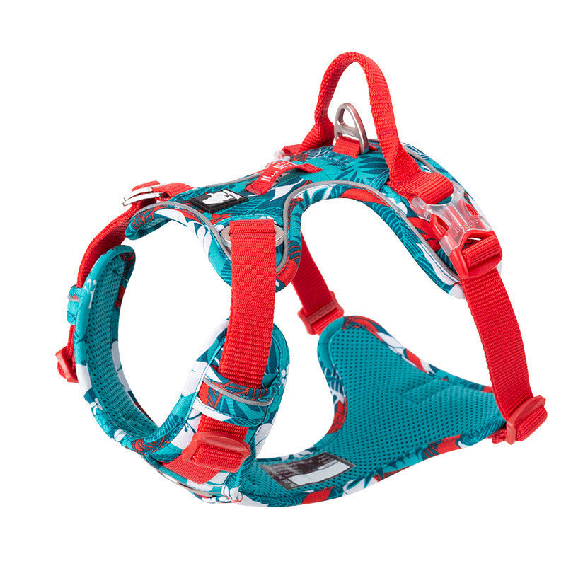 Durable Dog Leash and Harness Set