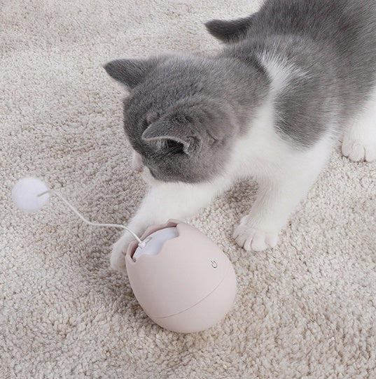 Funny Interactive Cat Toy