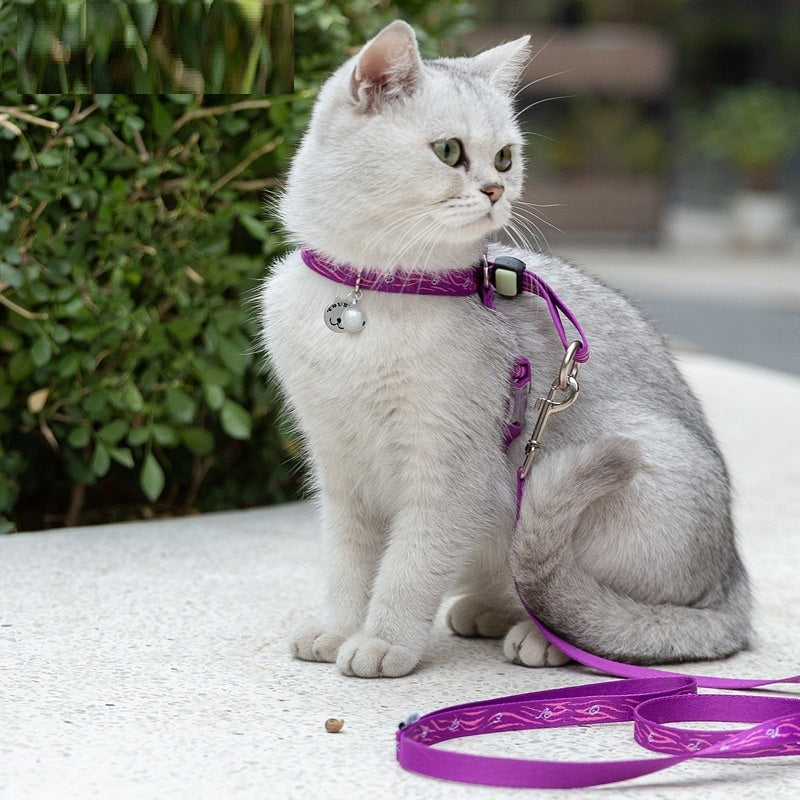 Adjustable Cat Harness and Leash Set with Bell