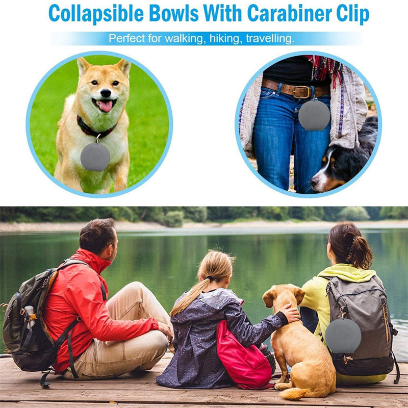 Collapsible Double Pet Bowl