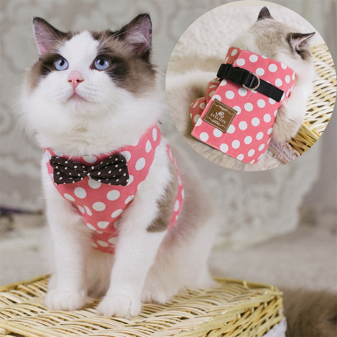 Cat Harness and Leash Se