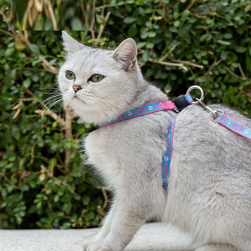 Adjustable Cat Harness and Leash Set with Bell