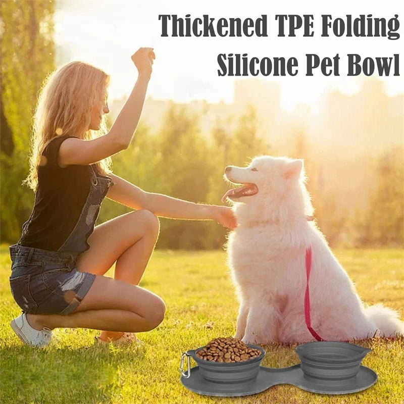 Collapsible Double Pet Bowl
