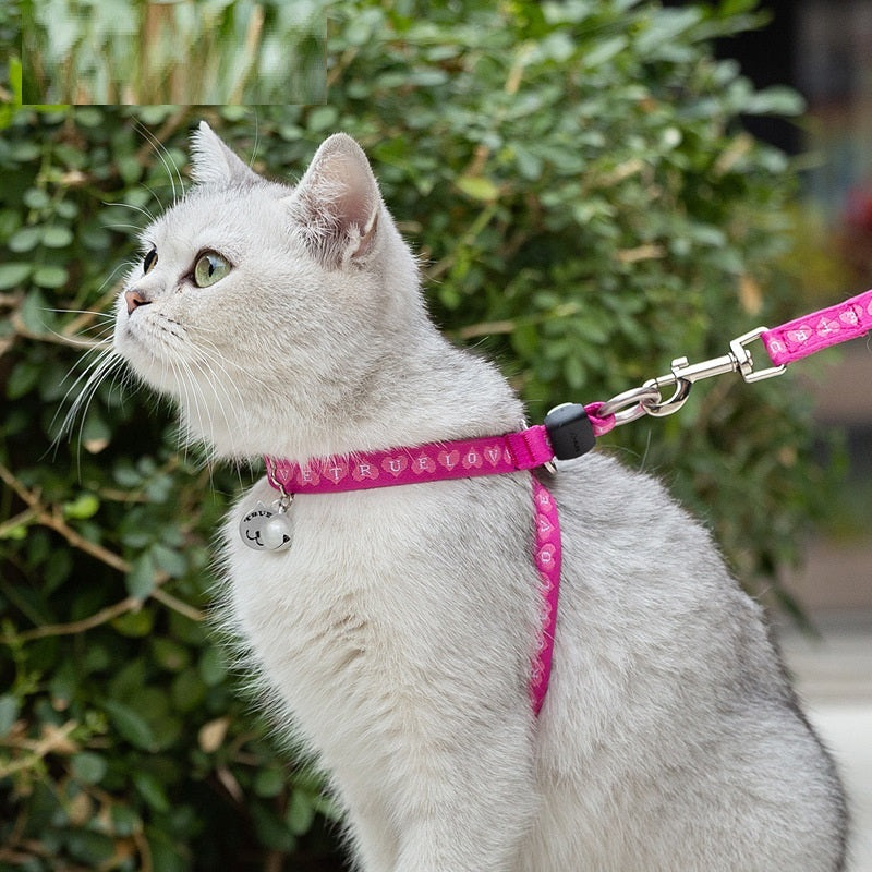 Adjustable Cat Harness and Leash Set with Bell
